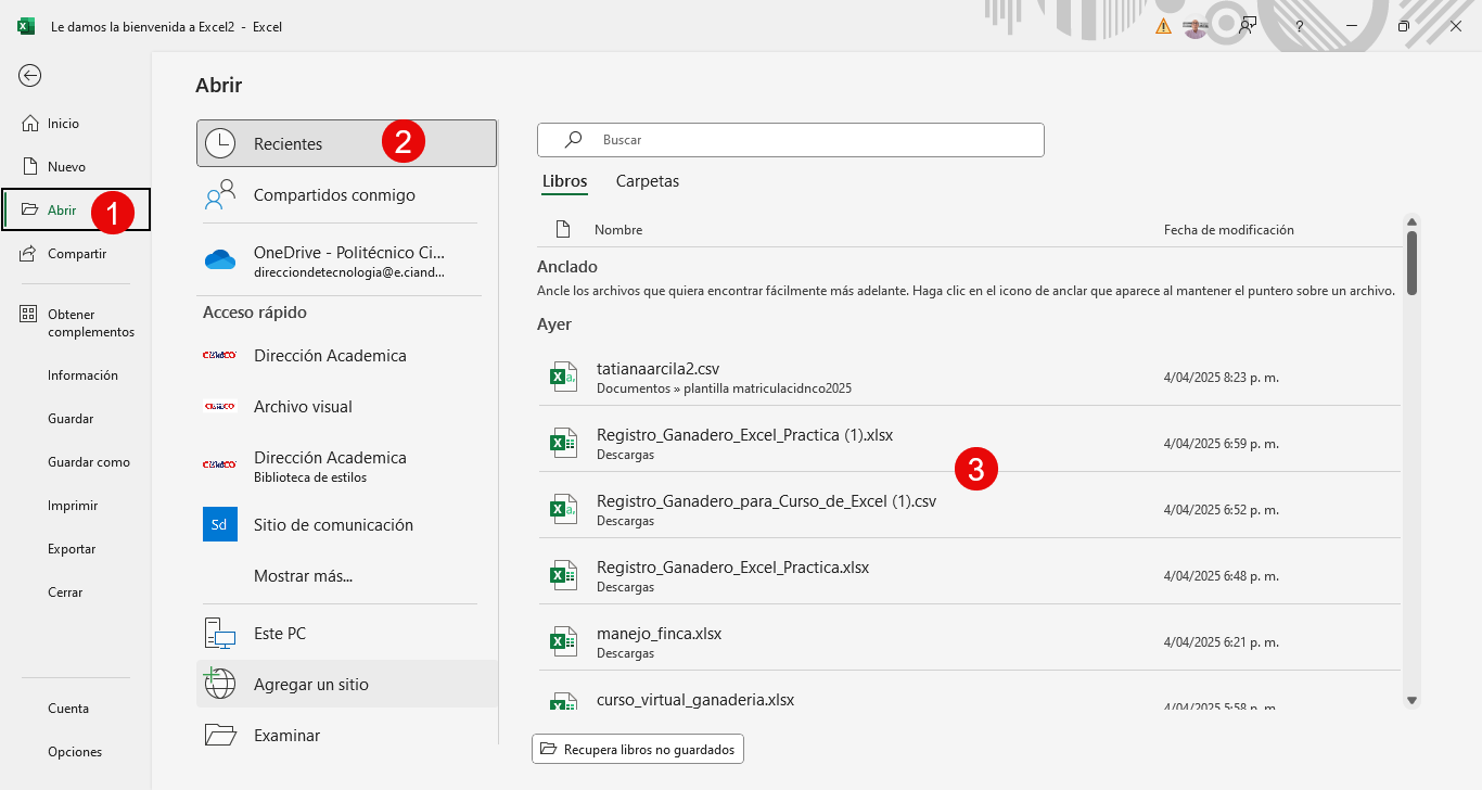C MO VER TUS ARCHIVOS visual data 4